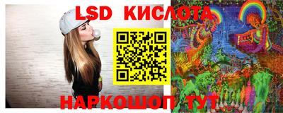 прущие грибы Будённовск