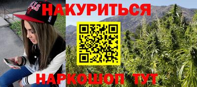 прущие грибы Будённовск