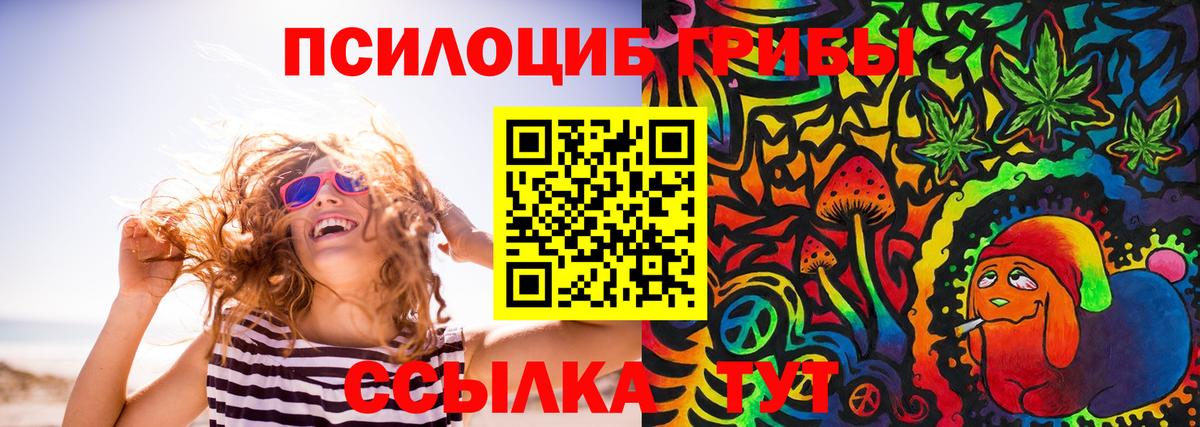 Псилоцибиновые грибы Psilocybe  Вход с VPN  Ростов Великий 