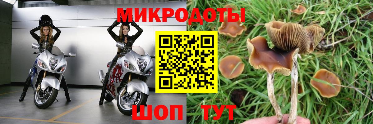 Галлюциногенные грибы MAGIC MUSHROOMS Ростов Великий